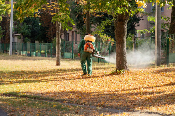 Professional Pest Control in Maili, HI